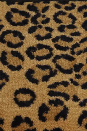 Capetown Leopard - Sample