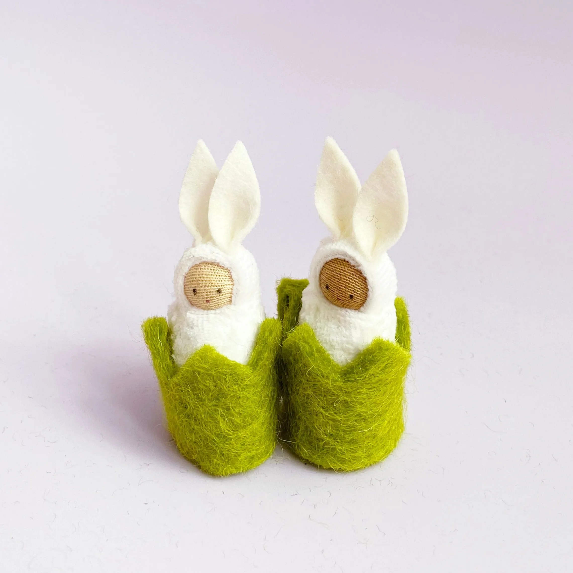 Soft Bunny in Grass Cozy